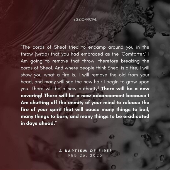 wool blend plum double-breasted pea coat 4P - Picture 9 of 9